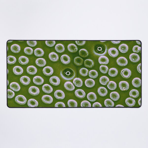 Item preview, Diatom - Cyclostephanos from Lake Malawi (pea green) designed and sold by DiatomsATTACK.