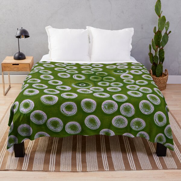 Item preview, Diatom - Cyclostephanos from Lake Malawi (pea green) designed and sold by DiatomsATTACK.