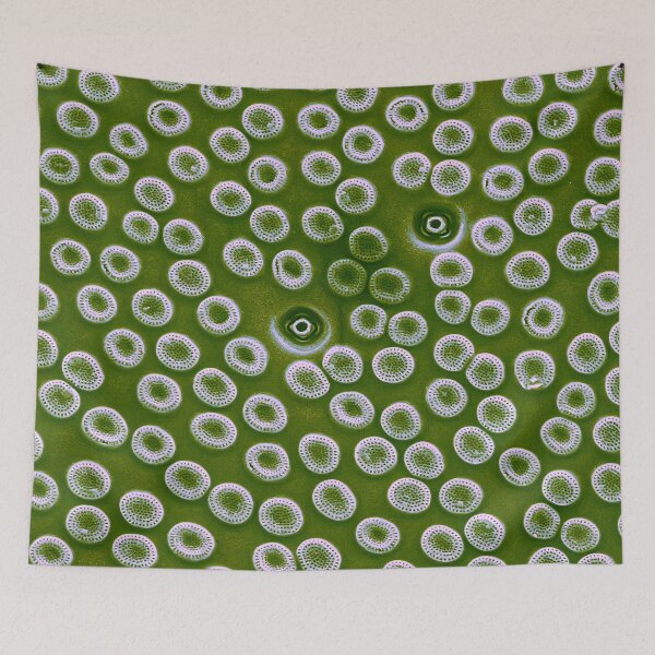 Item preview, Diatom - Cyclostephanos from Lake Malawi (pea green) designed and sold by DiatomsATTACK.