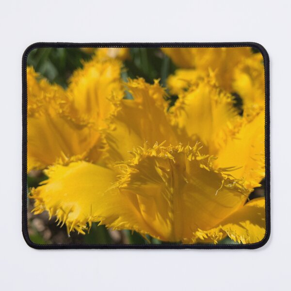Item preview, Spring - Yellow Tulips designed and sold by agnessa38.