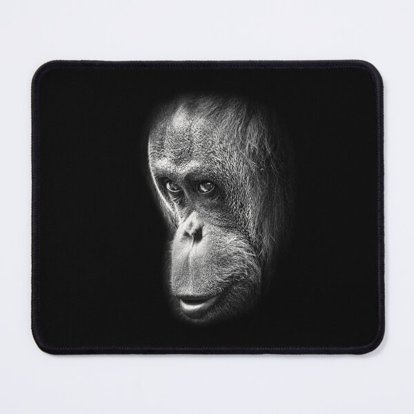 Item preview, Captive Orangutan Fine Art designed and sold by Scotch Macaskill.