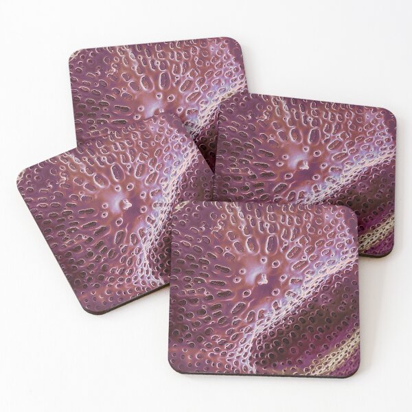 Item preview, Diatom - Ditylum (internal, purple) designed and sold by DiatomsATTACK.