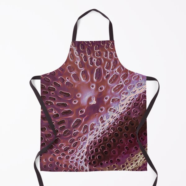 Item preview, Diatom - Ditylum (internal, purple) designed and sold by DiatomsATTACK.