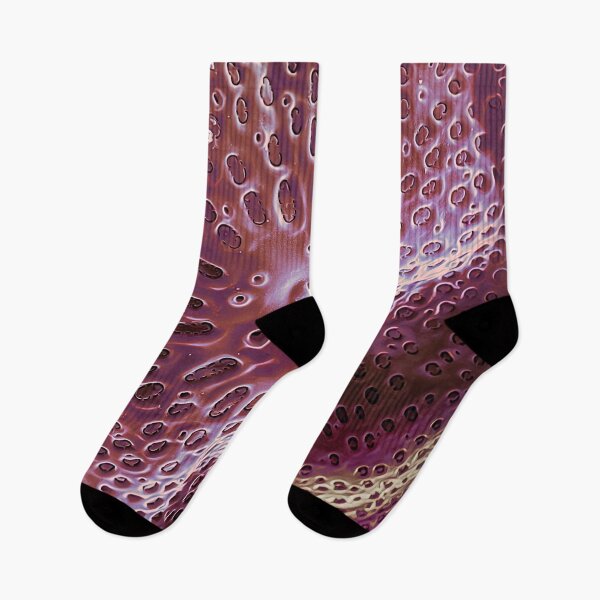 Item preview, Diatom - Ditylum (internal, purple) designed and sold by DiatomsATTACK.