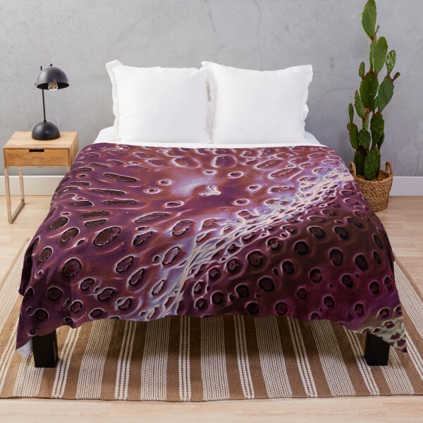 Item preview, Diatom - Ditylum (internal, purple) designed and sold by DiatomsATTACK.
