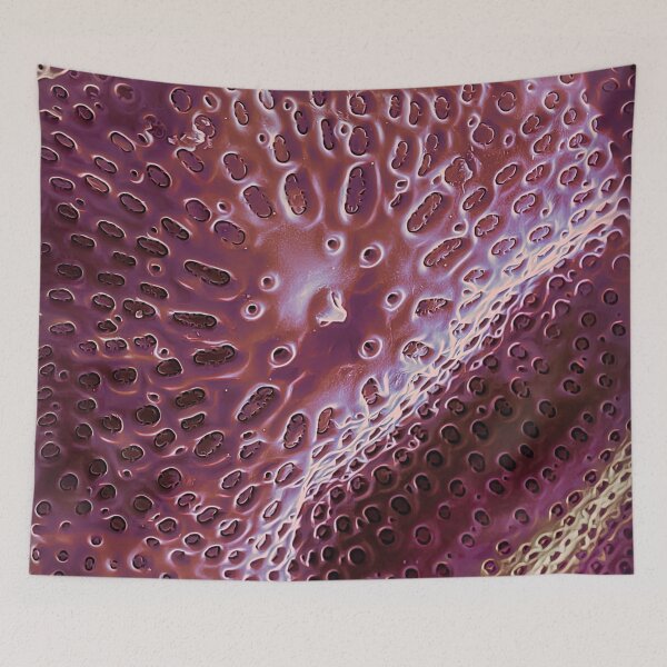 Item preview, Diatom - Ditylum (internal, purple) designed and sold by DiatomsATTACK.