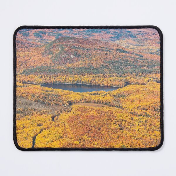 Item preview, Lac Dudley designed and sold by Eunice Gibb.