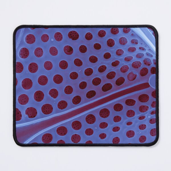 Item preview, Diatom - Asteromphalus in SEM (internal, purple) designed and sold by DiatomsATTACK.