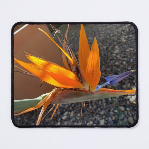Item preview, Bird of Paradise Flower designed and sold by agnessa38.