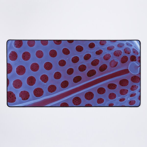 Item preview, Diatom - Asteromphalus in SEM (internal, purple) designed and sold by DiatomsATTACK.