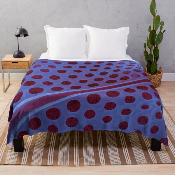 Item preview, Diatom - Asteromphalus in SEM (internal, purple) designed and sold by DiatomsATTACK.