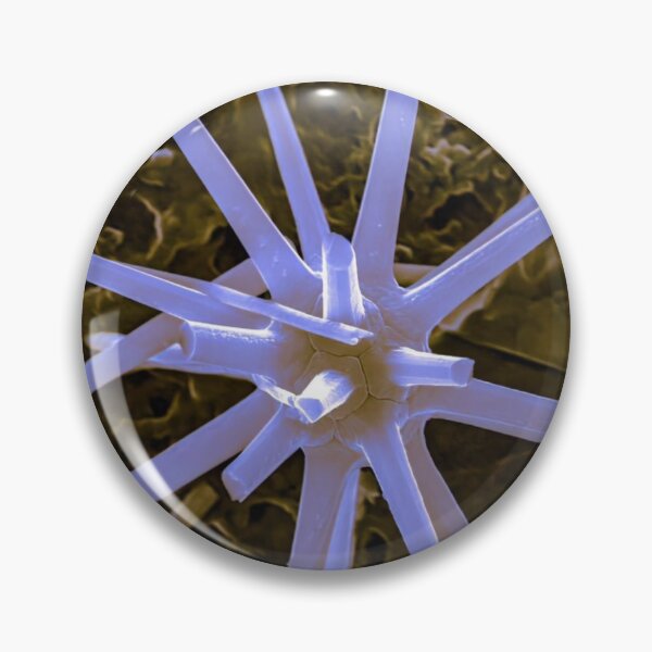 Item preview, Acantharia in SEM (Blue) designed and sold by DiatomsATTACK.