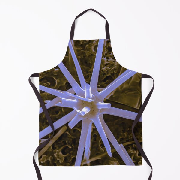 Item preview, Acantharia in SEM (Blue) designed and sold by DiatomsATTACK.