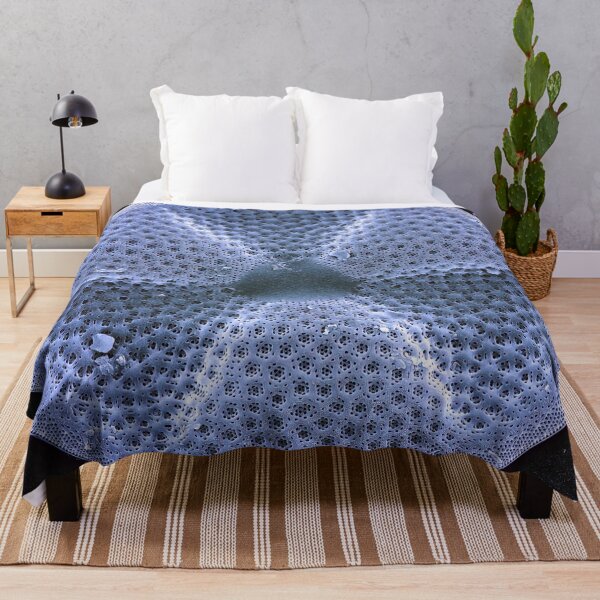 Item preview, Actinoptychus - Winter Blue designed and sold by DiatomsATTACK.