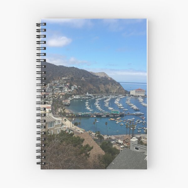 Item preview, Stereotypical Catalina Picture  designed and sold by Jena Rachael.