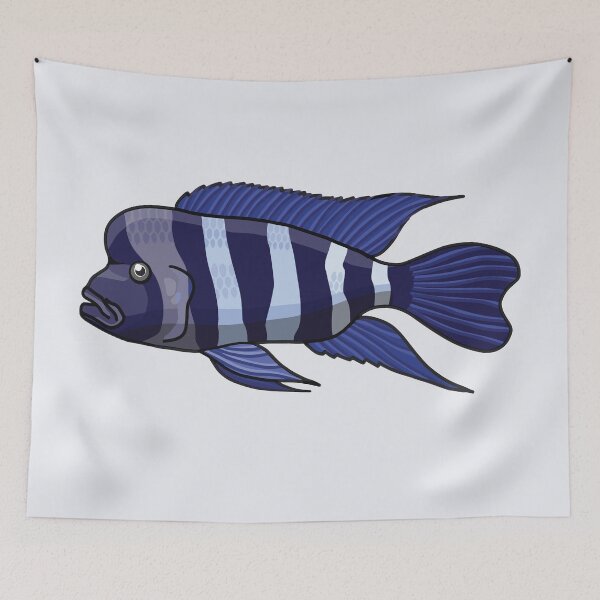 Item preview, Frontosa Cichlid, best fishkeeper gift, aquarium gift - aquadesk designed and sold by Aquadesk.