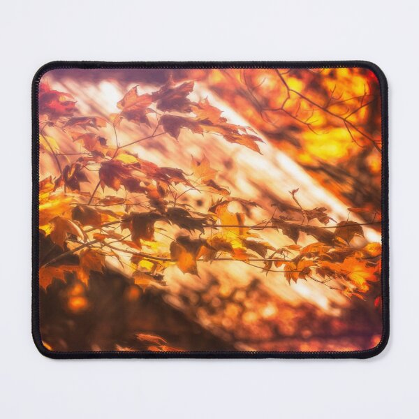 Item preview, Autumn's Warm Glow designed and sold by Jim Love.