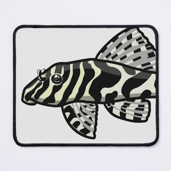 Item preview, Leopard frog pleco, best fishkeeper gift, aquarium gift - aquadesk designed and sold by Aquadesk.