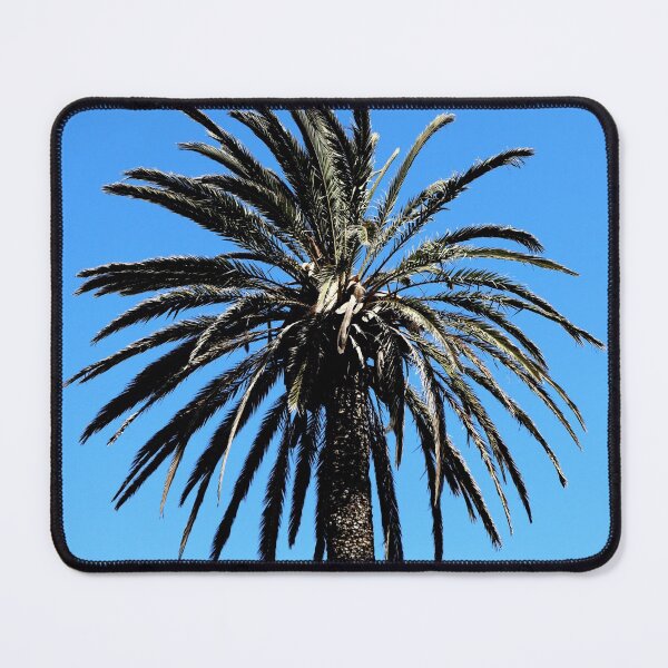 Item preview, Palm Tree with clear blue sky as a tropical theme designed and sold by Michaelerch.