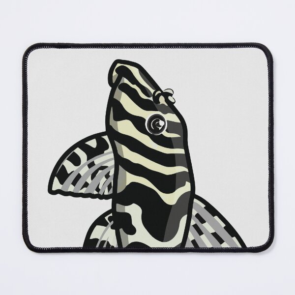 Item preview, Leopard frog pleco - aquadesk designed and sold by Aquadesk.
