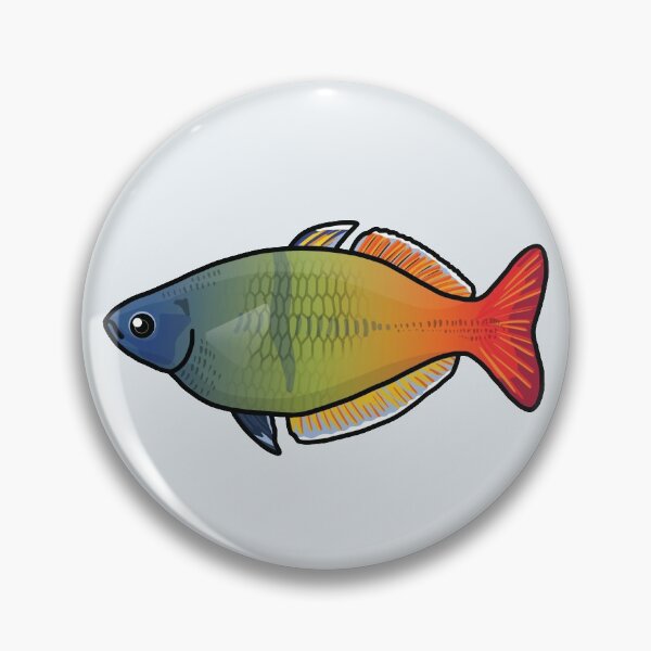 Item preview, Boesemani rainbowfish, best fishkeeper gift, aquarium gift - aquadesk designed and sold by Aquadesk.