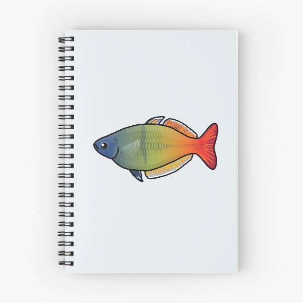 Item preview, Boesemani rainbowfish, best fishkeeper gift, aquarium gift - aquadesk designed and sold by Aquadesk.
