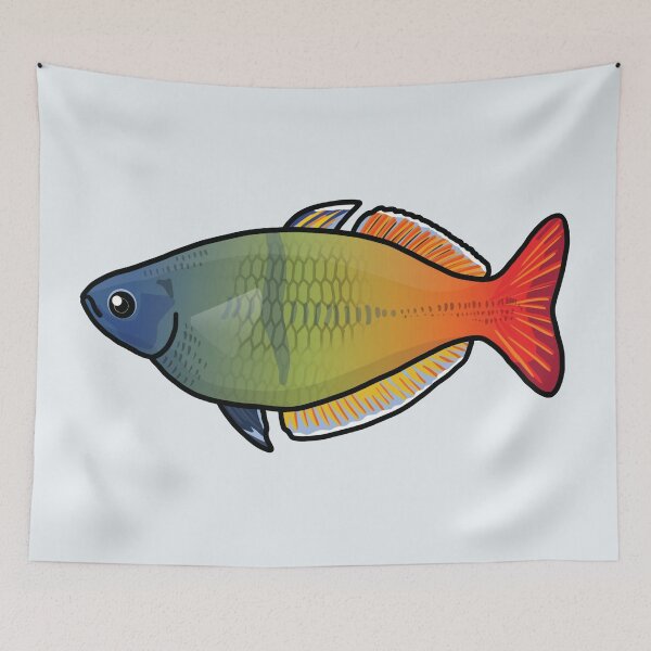 Item preview, Boesemani rainbowfish, best fishkeeper gift, aquarium gift - aquadesk designed and sold by Aquadesk.
