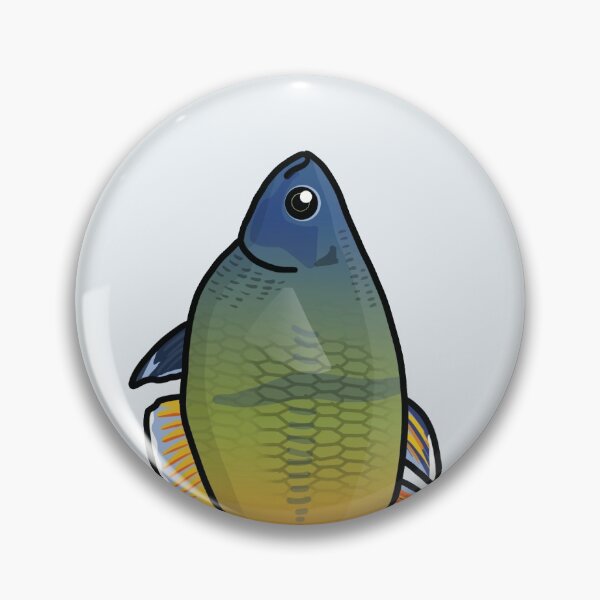 Item preview, Boesemani rainbowfish - aquadesk designed and sold by Aquadesk.