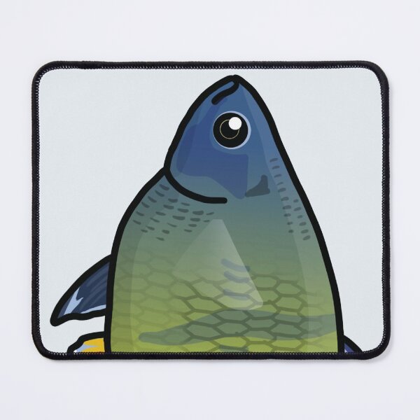 Item preview, Boesemani rainbowfish - aquadesk designed and sold by Aquadesk.