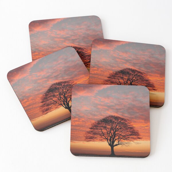 Item preview,  Digital photograph Tree Silhouette at sunrise designed and sold by SimonJohnson1.
