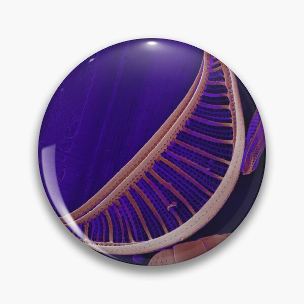 Item preview, Epithemia gibberula (diatom) - Glowing Purple designed and sold by DiatomsATTACK.