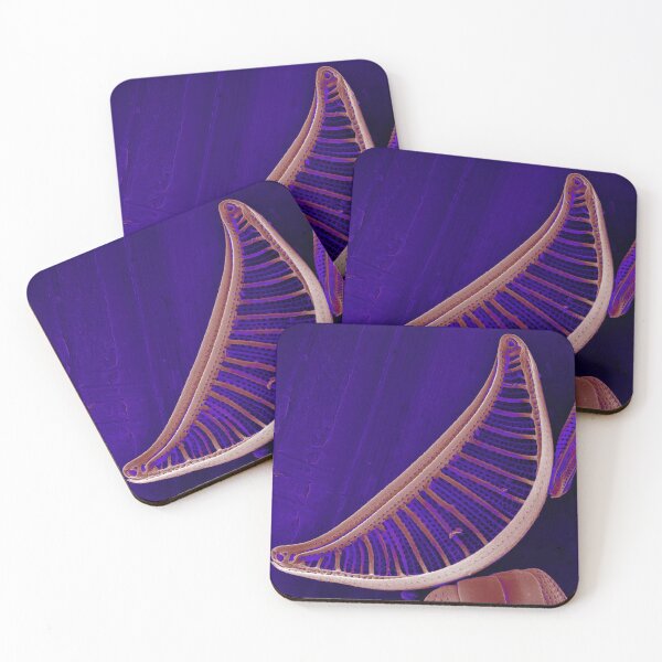 Item preview, Epithemia gibberula (diatom) - Glowing Purple designed and sold by DiatomsATTACK.