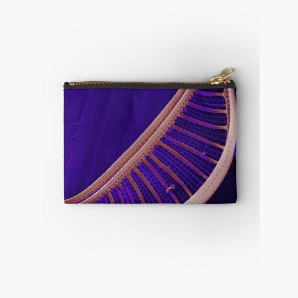 Item preview, Epithemia gibberula (diatom) - Glowing Purple designed and sold by DiatomsATTACK.