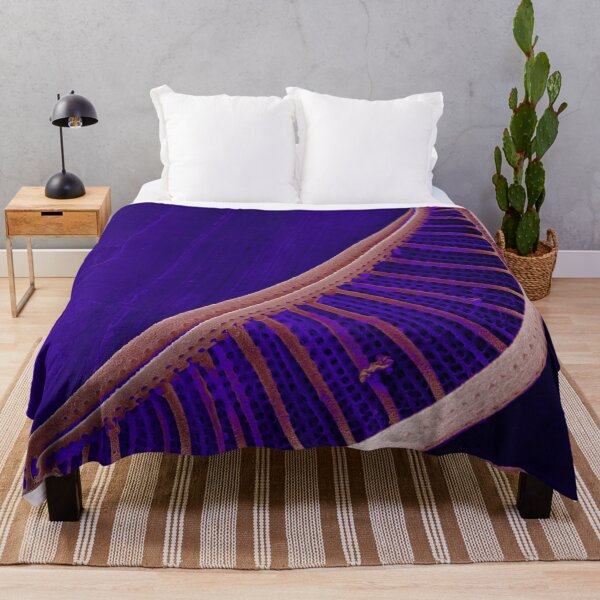 Item preview, Epithemia gibberula (diatom) - Glowing Purple designed and sold by DiatomsATTACK.