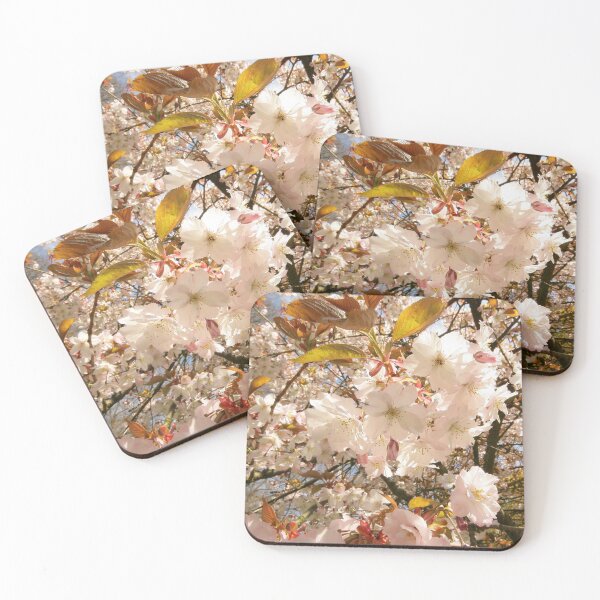 Item preview, Digital Photograph of sunlit Blossom designed and sold by SimonJohnson1.