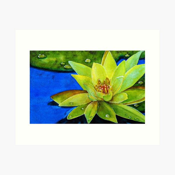 Water Lotus Flower Art Print