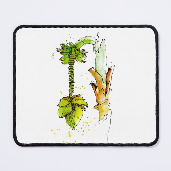 Item preview, Kopie von Cacao Tree – Theobroma cacao, Watercolor designed and sold by un-artiges.