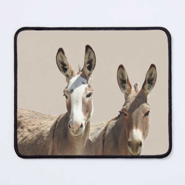 Item preview, Wildlife, wild burros, Oatman, Arizona designed and sold by Sandra O'Toole.