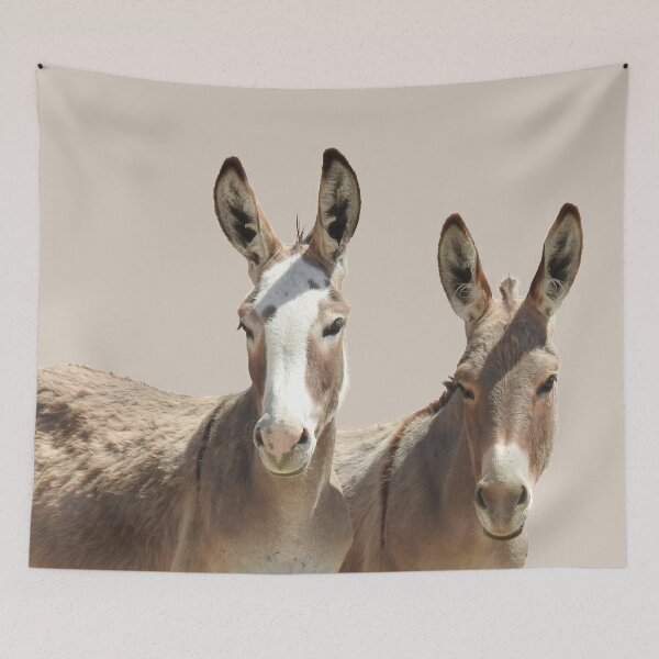 Item preview, Wildlife, wild burros, Oatman, Arizona designed and sold by Sandra O'Toole.