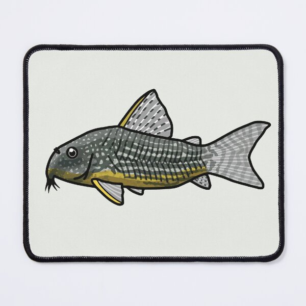 Item preview, Sterbai corydoras, best fishkeeper gift, aquarium gift - aquadesk designed and sold by Aquadesk.