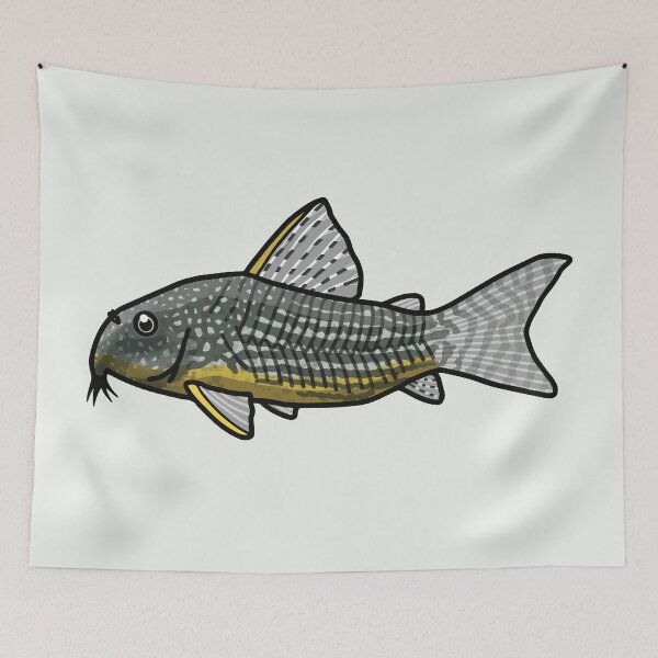 Item preview, Sterbai corydoras, best fishkeeper gift, aquarium gift - aquadesk designed and sold by Aquadesk.