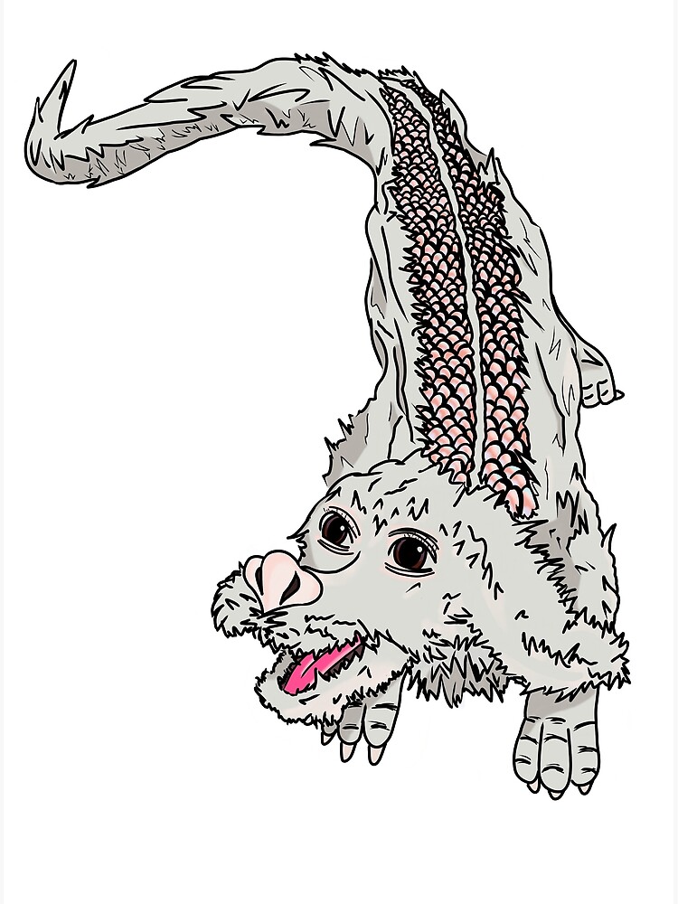 "Falkor from The Neverending Story" Poster for Sale by NotLevisArt