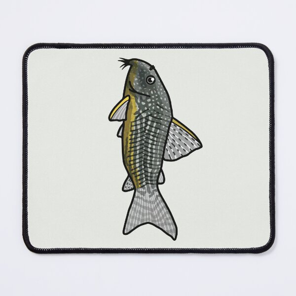 Item preview, Sterbai corydoras - aquadesk designed and sold by Aquadesk.