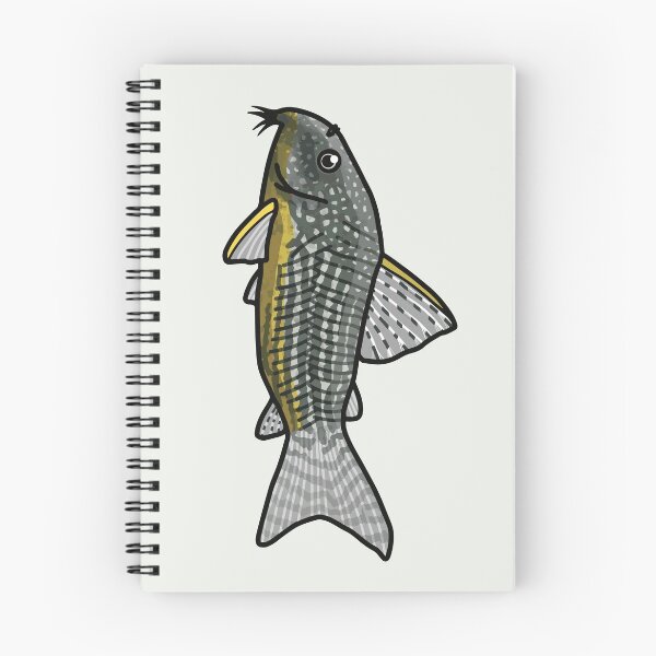 Item preview, Sterbai corydoras - aquadesk designed and sold by Aquadesk.