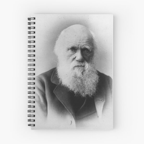 Aperçu de l'œuvre Charles Darwin créée et vendue par suncokreti.