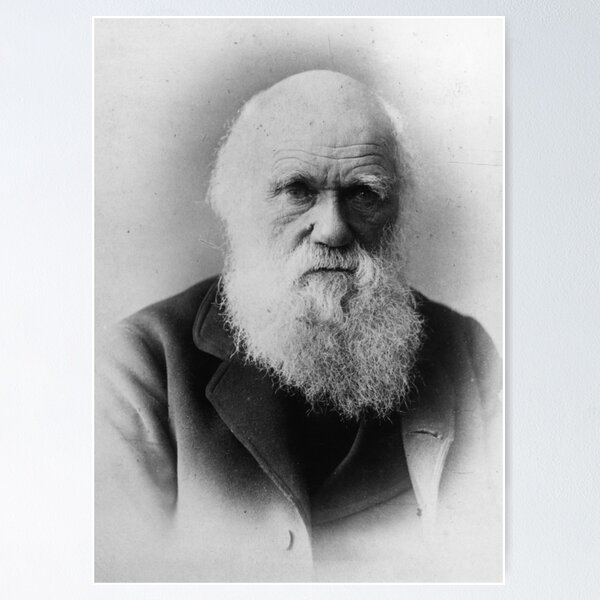 Item preview, Charles Darwin designed and sold by suncokreti.