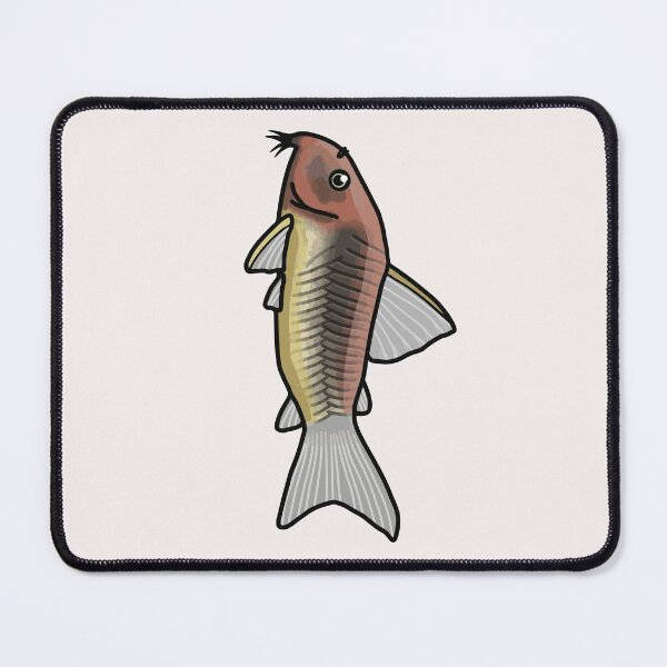 Item preview, Bronze corydoras - aquadesk designed and sold by Aquadesk.