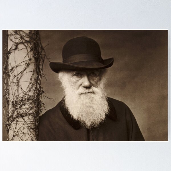 Item preview, Charles Darwin designed and sold by suncokreti.