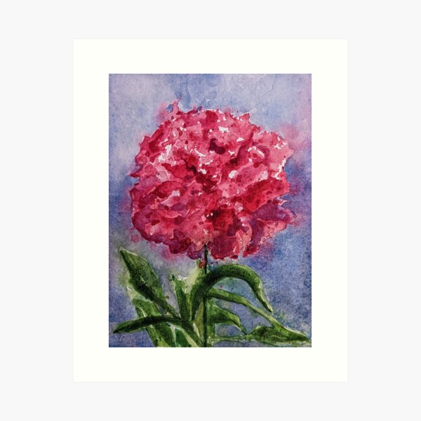 Pink Peony Art Print