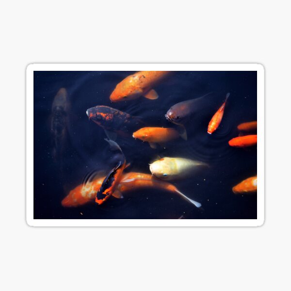 fish Sticker